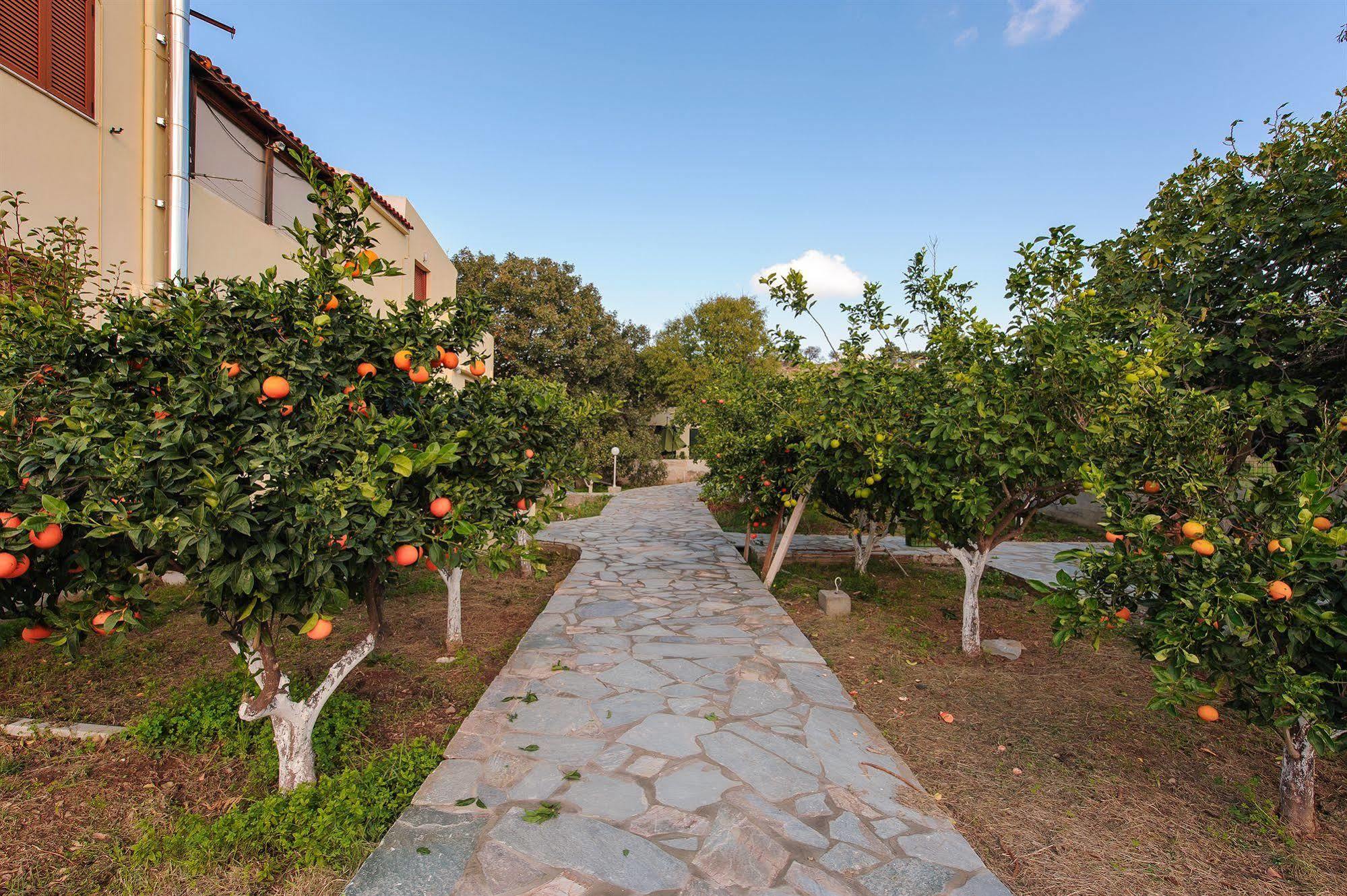 Holiday Rooms Apartment Otzias